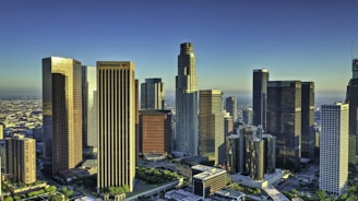 grey high-rise building lot