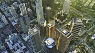 An aerial view of a vibrant cityscape showcasing urban development.