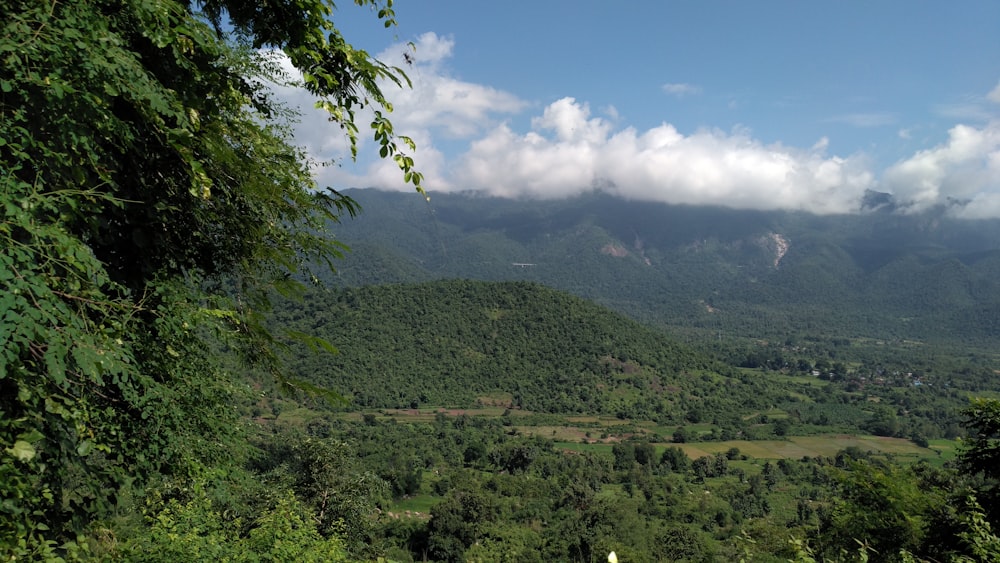 Montagne Verte