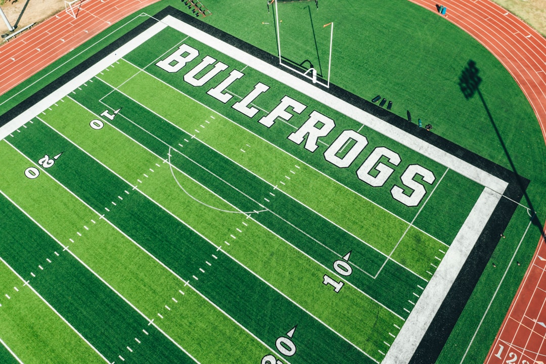 Bullfrogs soccer stadium
