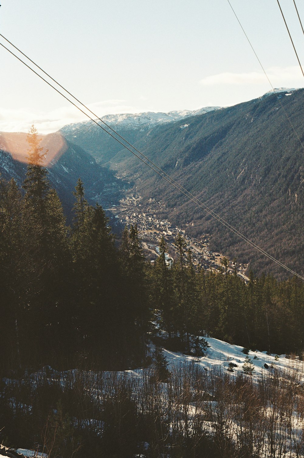 steel cable above trees on mountain