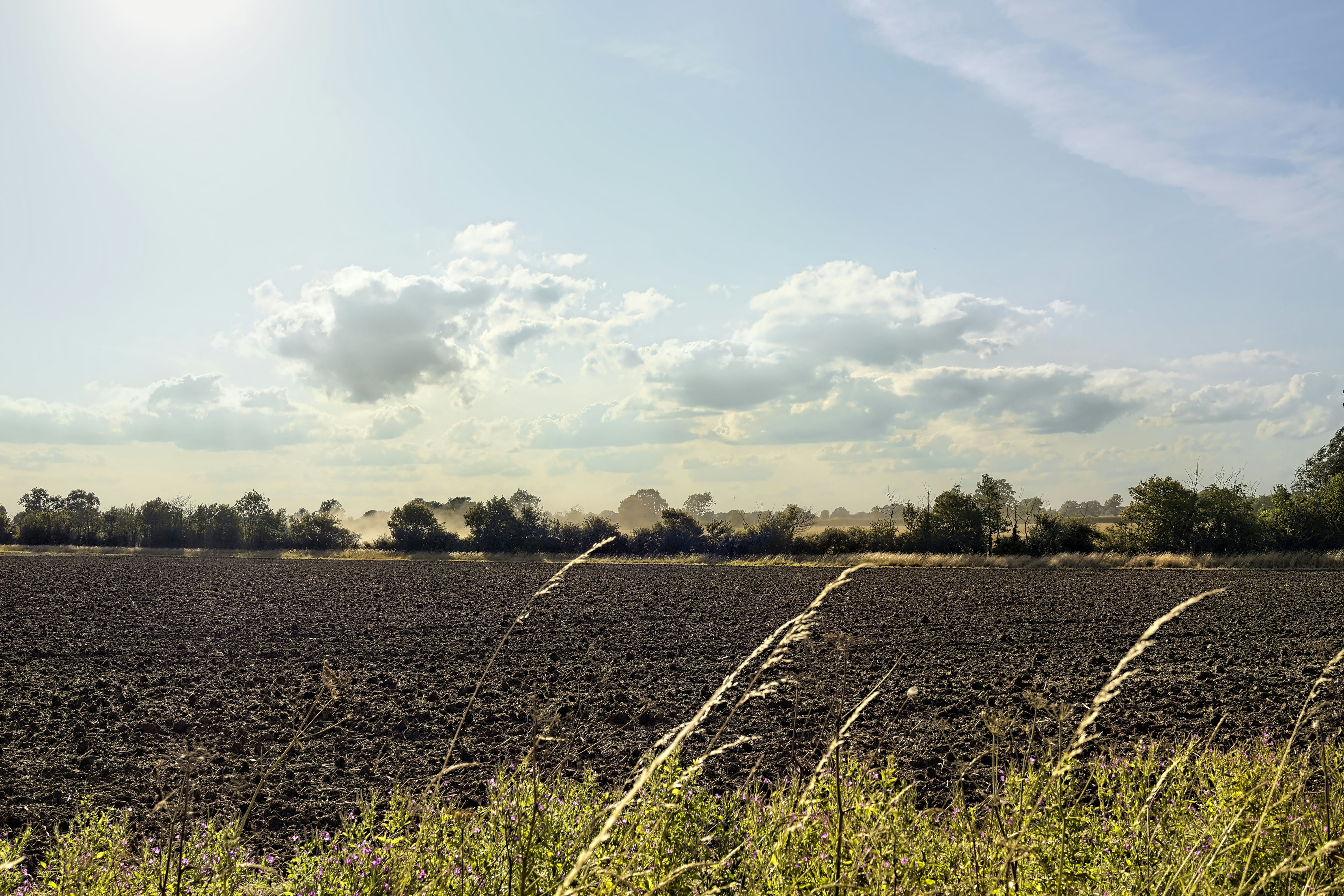 The Internet of Things in UK Agriculture: Precision Farming at Scale