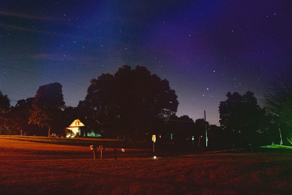 empty grassfield under starry night