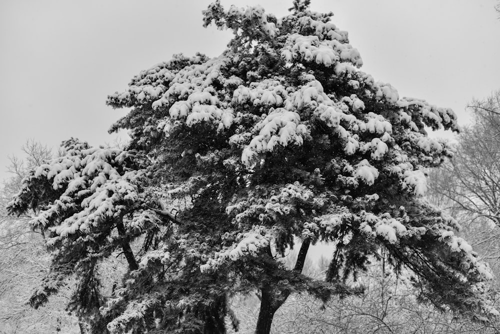 snow-covered mountain at daytime