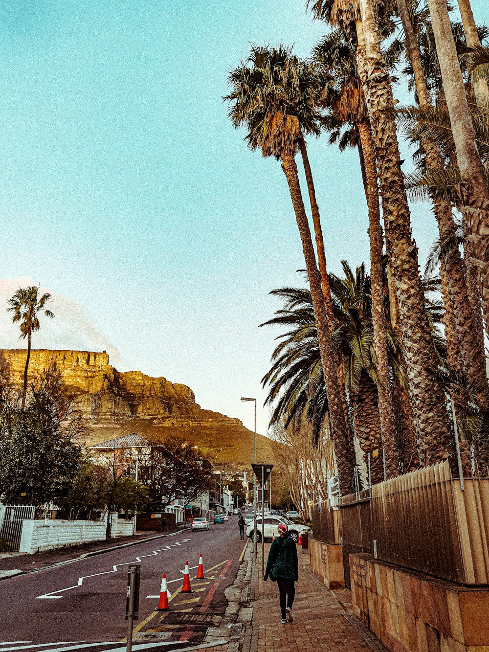 man walking beside palm trees