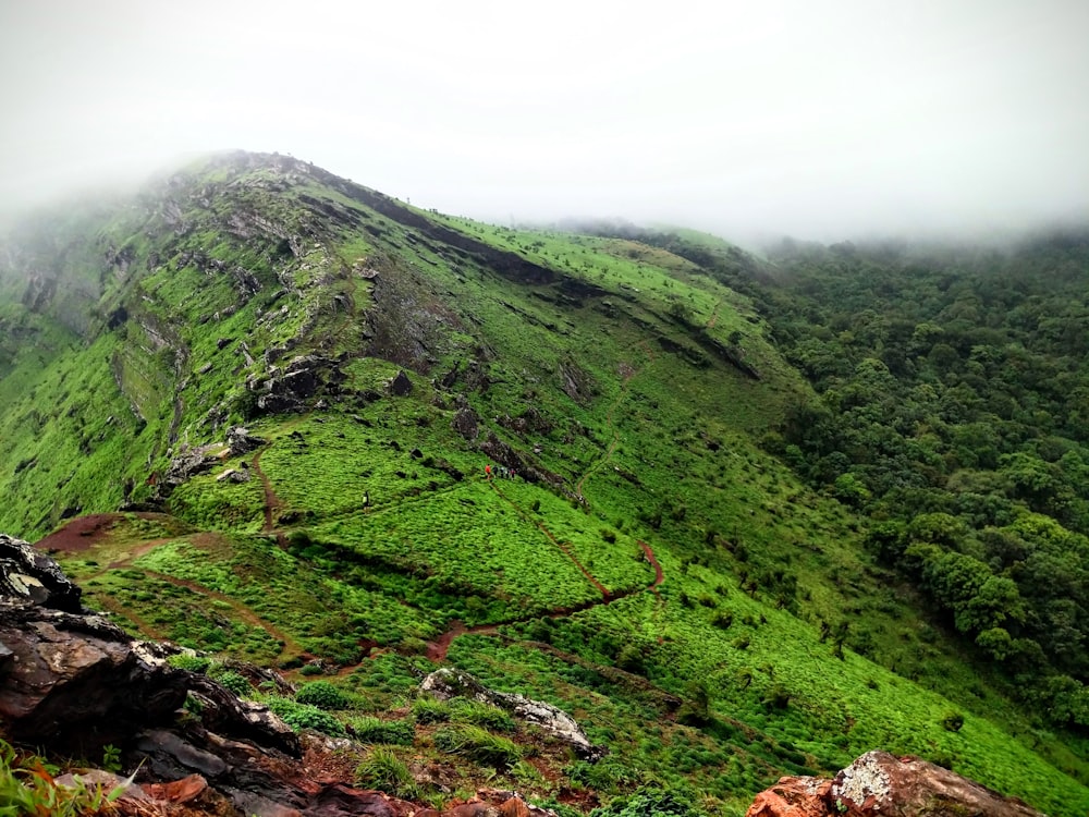 grass on mountain under cloudy sky