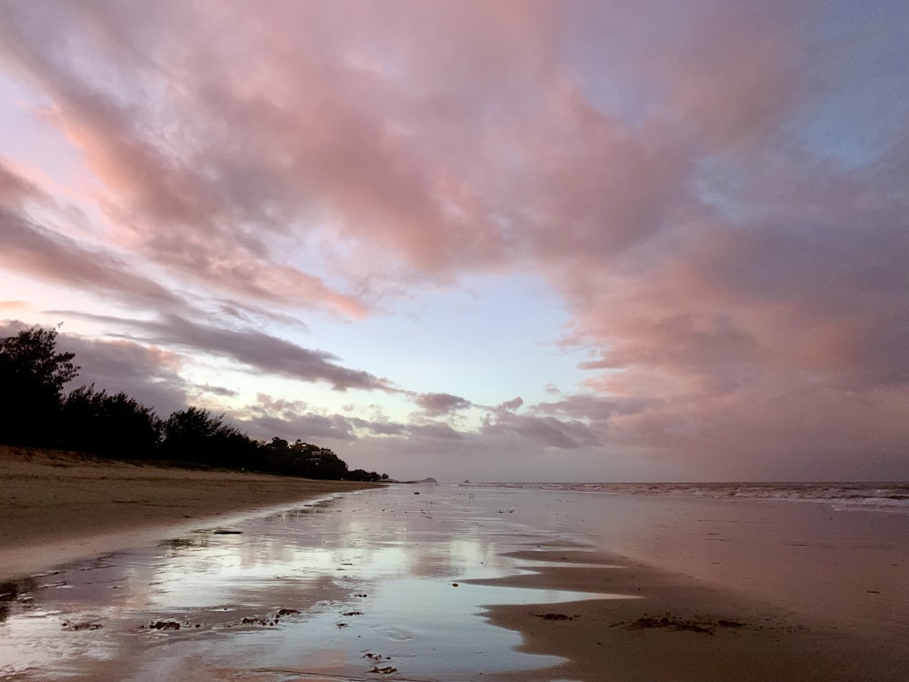 trees on shore under cloudy sky at daytime