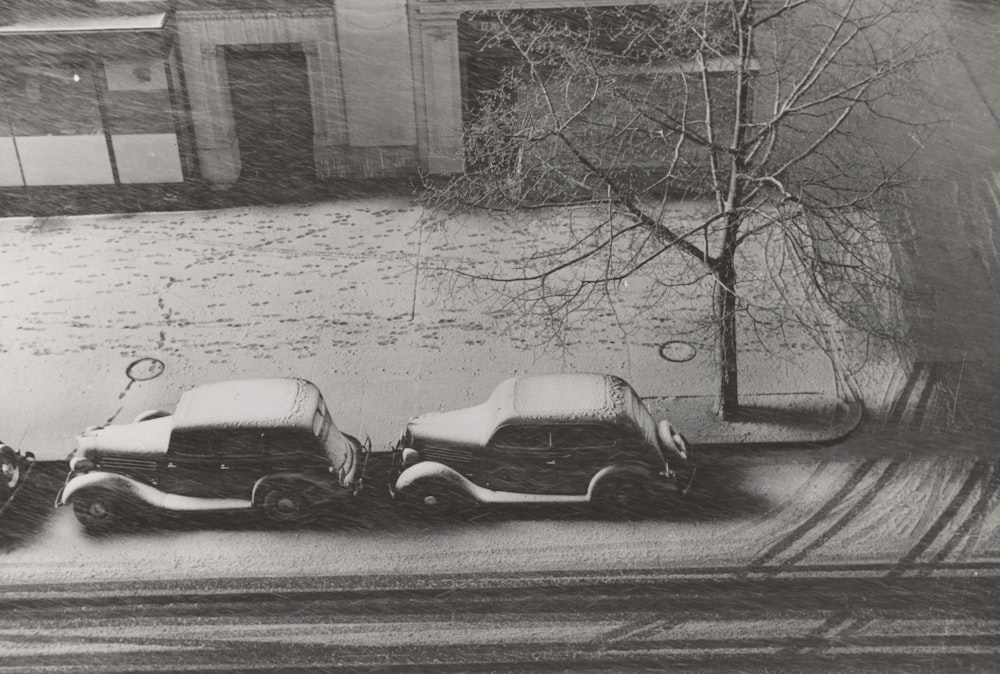 Photographie en niveaux de gris de deux véhicules sur RAOD