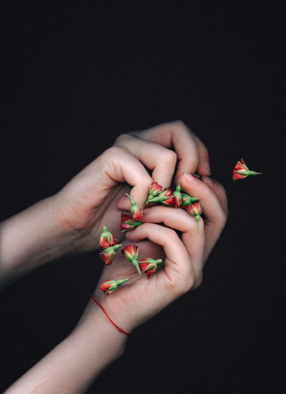 person holding red rose flowers