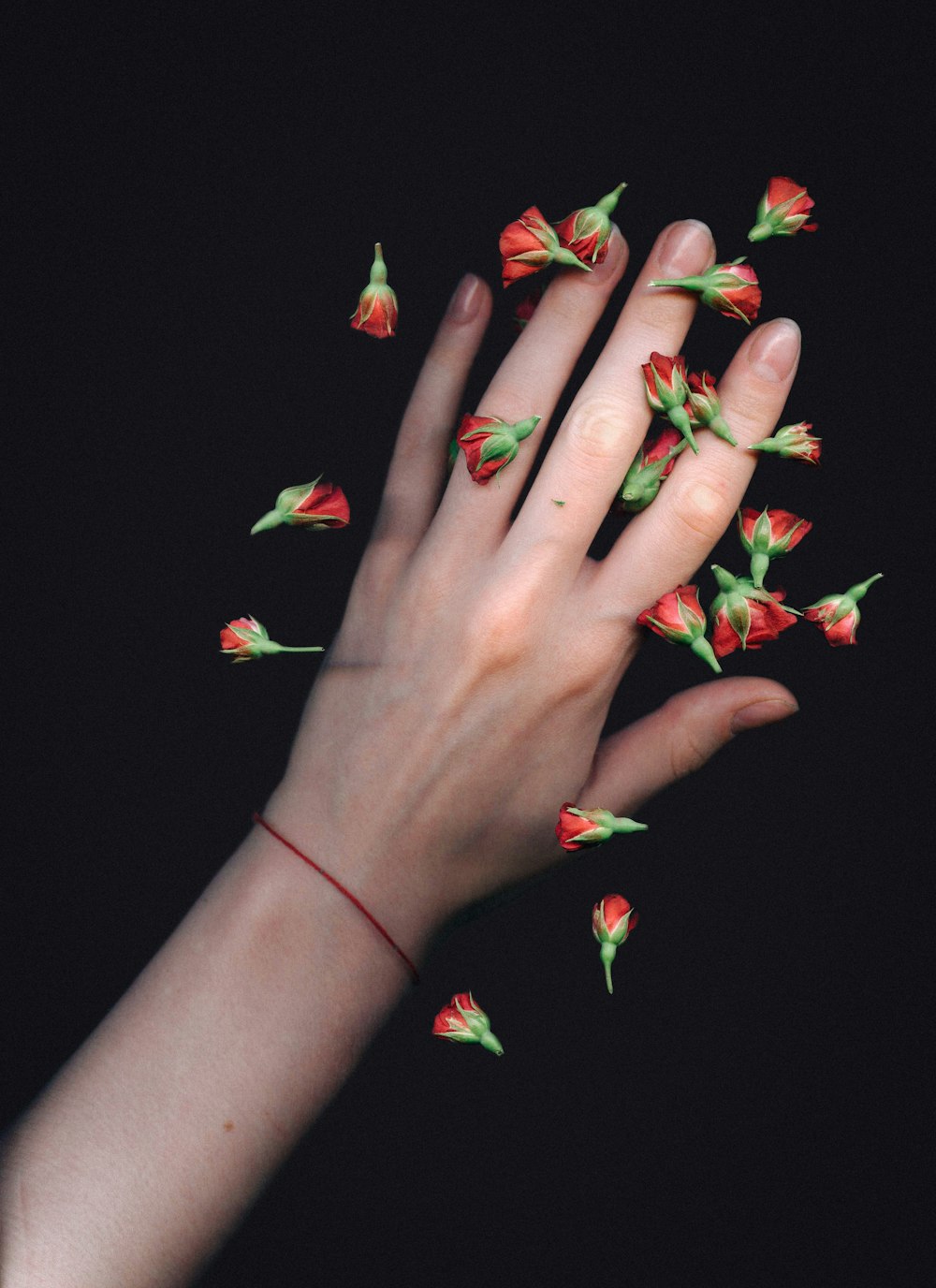 linke Hand mit roten Blüten