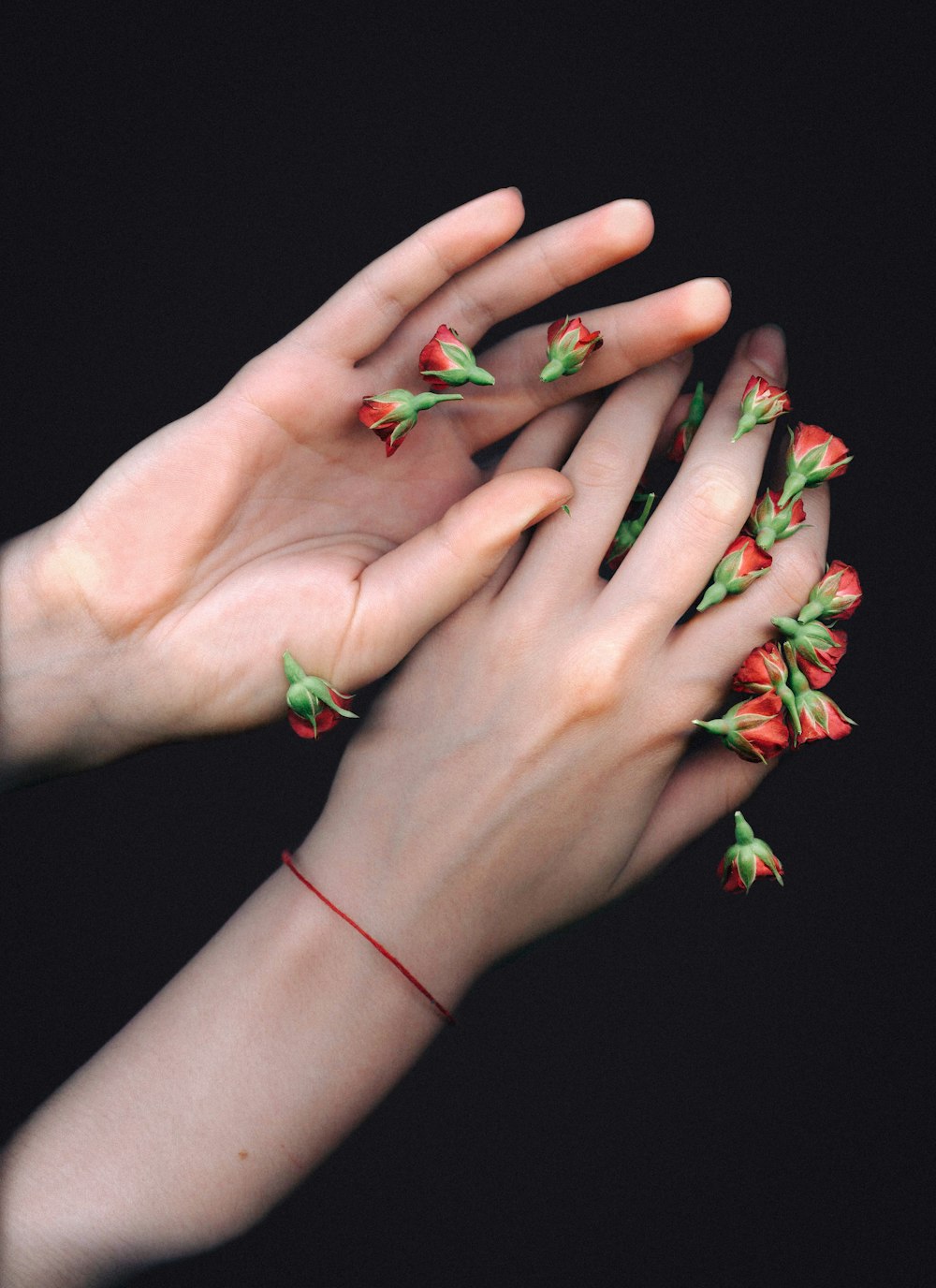 red flowers on hand