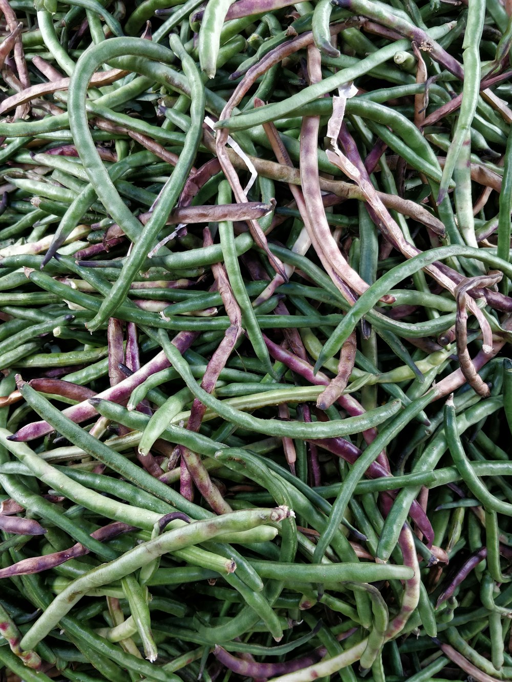 green and purple string beans