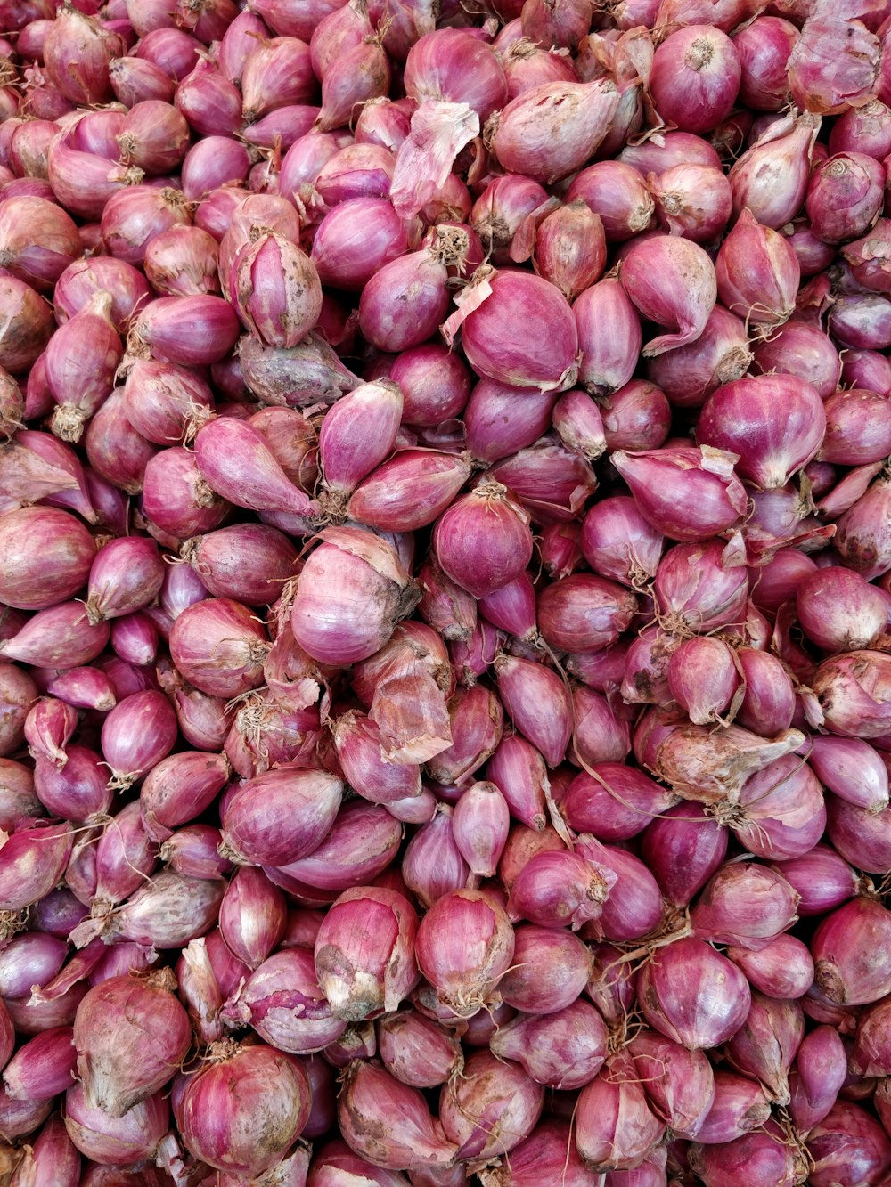 purple onions