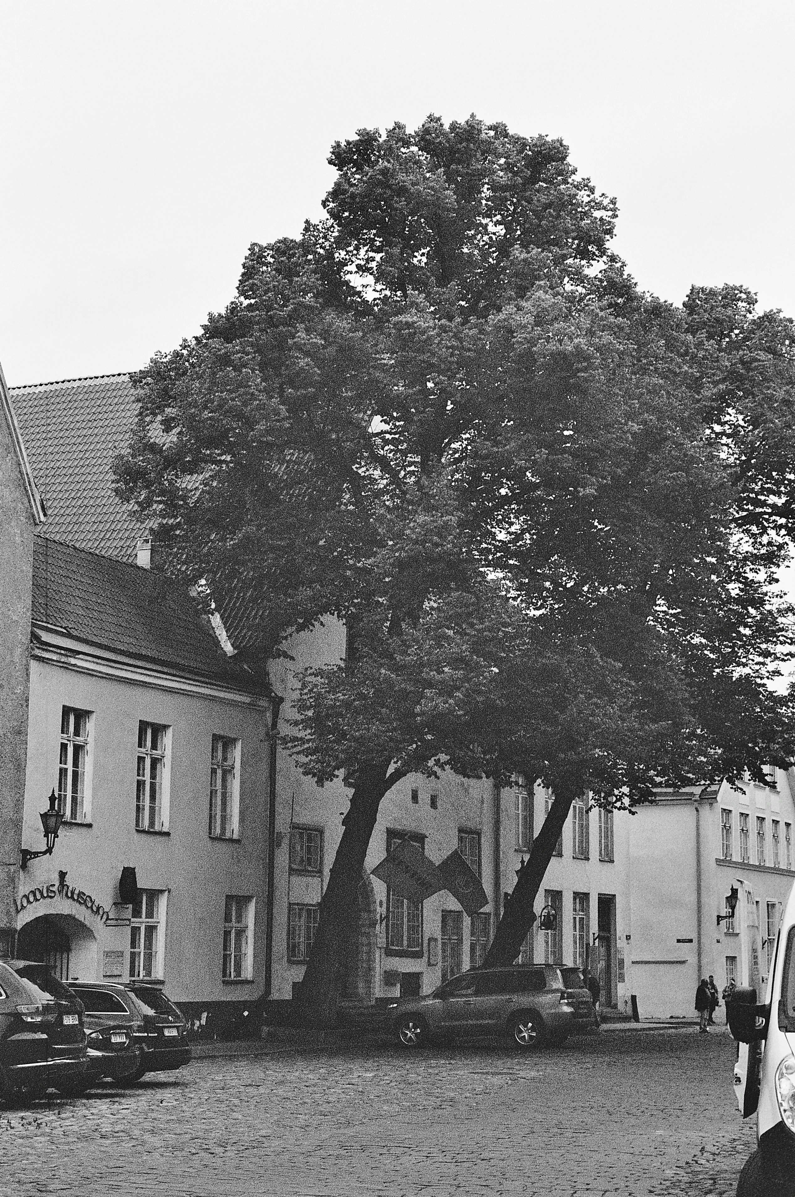 Photo by antonkhmelnitsky