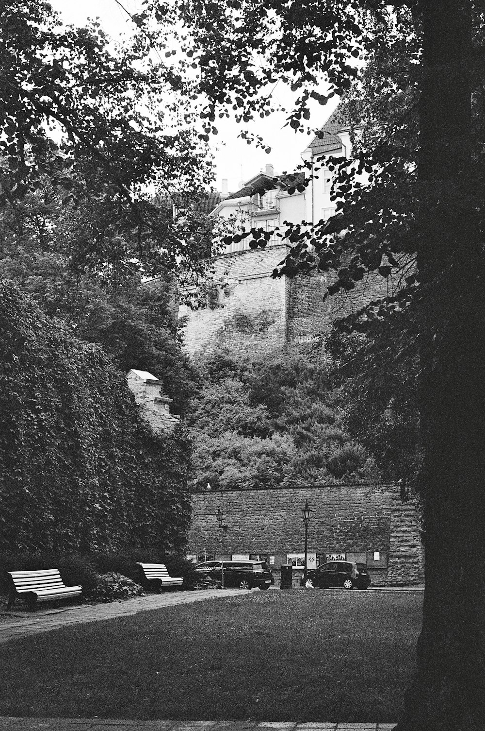 a black and white photo of a park with benches