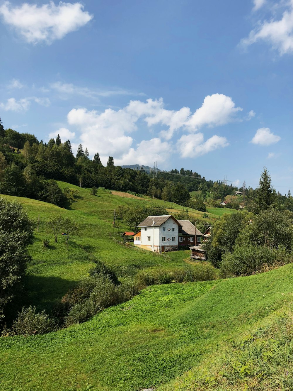 casa perto de árvores e grama