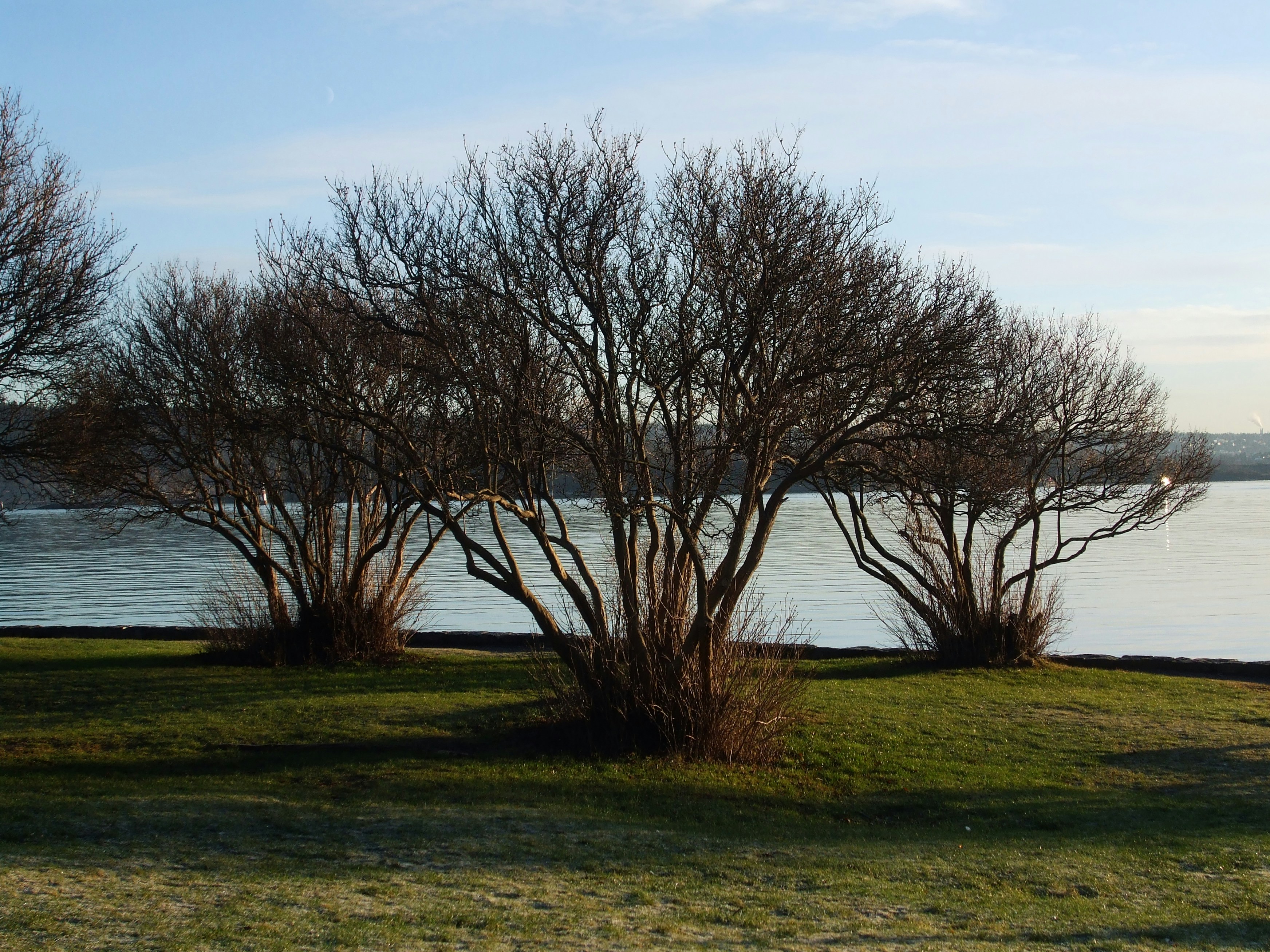 Photo by juriparrinello