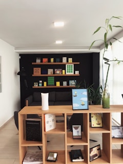 A modern interior space featuring a wooden bookshelf filled with various books and decorative items. The background showcases a black accent wall with additional books and art pieces on a wooden shelf. A cozy dark sofa is located below the shelf, and a tall plant in a transparent vase stands on the right. The room is softly lit with ceiling lights, creating a calm atmosphere.
