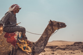 A person wearing a headscarf and sunglasses is riding a decorated camel in a desert setting. The camel is adorned with a colorful rug and ornamentation, and the background features sandy dunes with a clear sky.