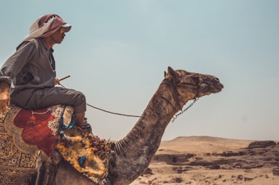 man riding on brown camel close-up photography cairo zoom background