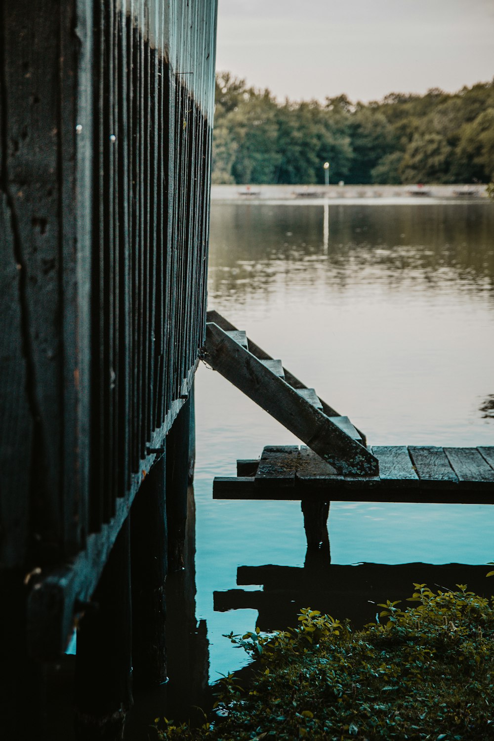 gray wooden dock beside body of water close-up photography