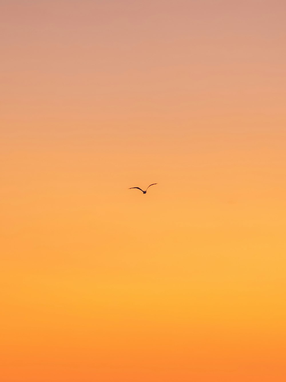 Hình ảnh chim bay trong ban ngày với màu cam tươi sáng trên Unsplash sẽ mang lại cho bạn cảm giác thoải mái và tươi vui. Khi nhìn vào hình ảnh này, bạn sẽ cảm nhận được tinh thần tự do và sự bình yên trong thiên nhiên. Hãy cùng chúng tôi khám phá vẻ đẹp của những sinh vật đáng yêu này.