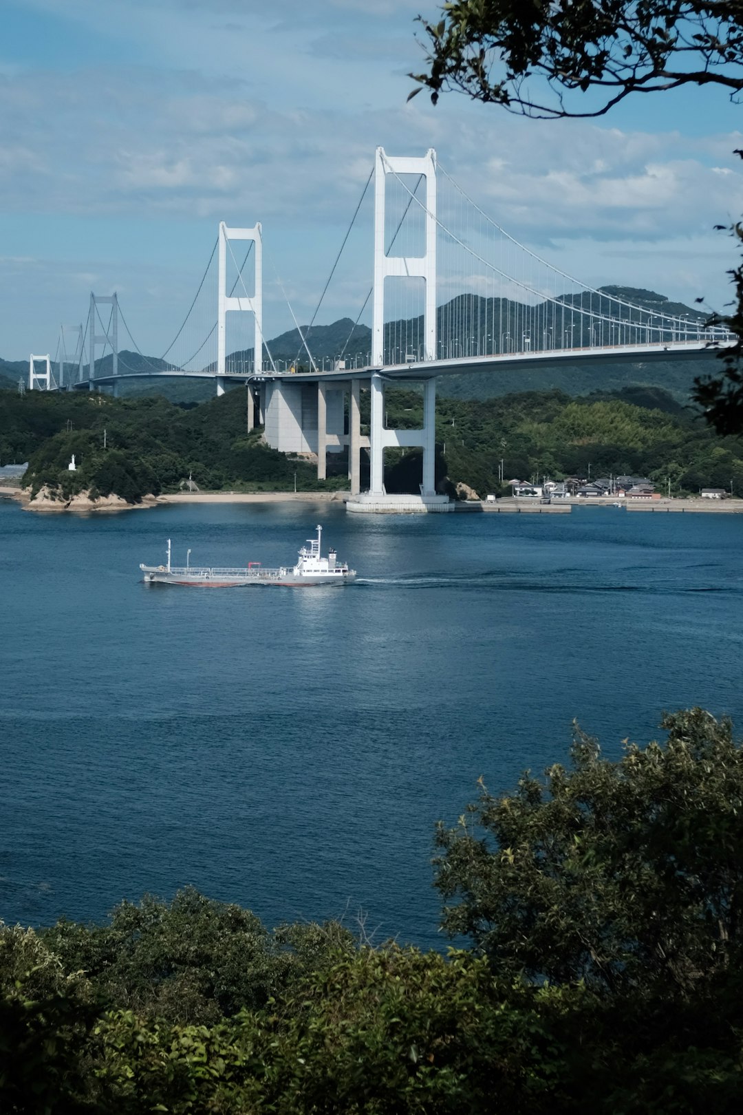 white boat on body of water near bridge at daytime