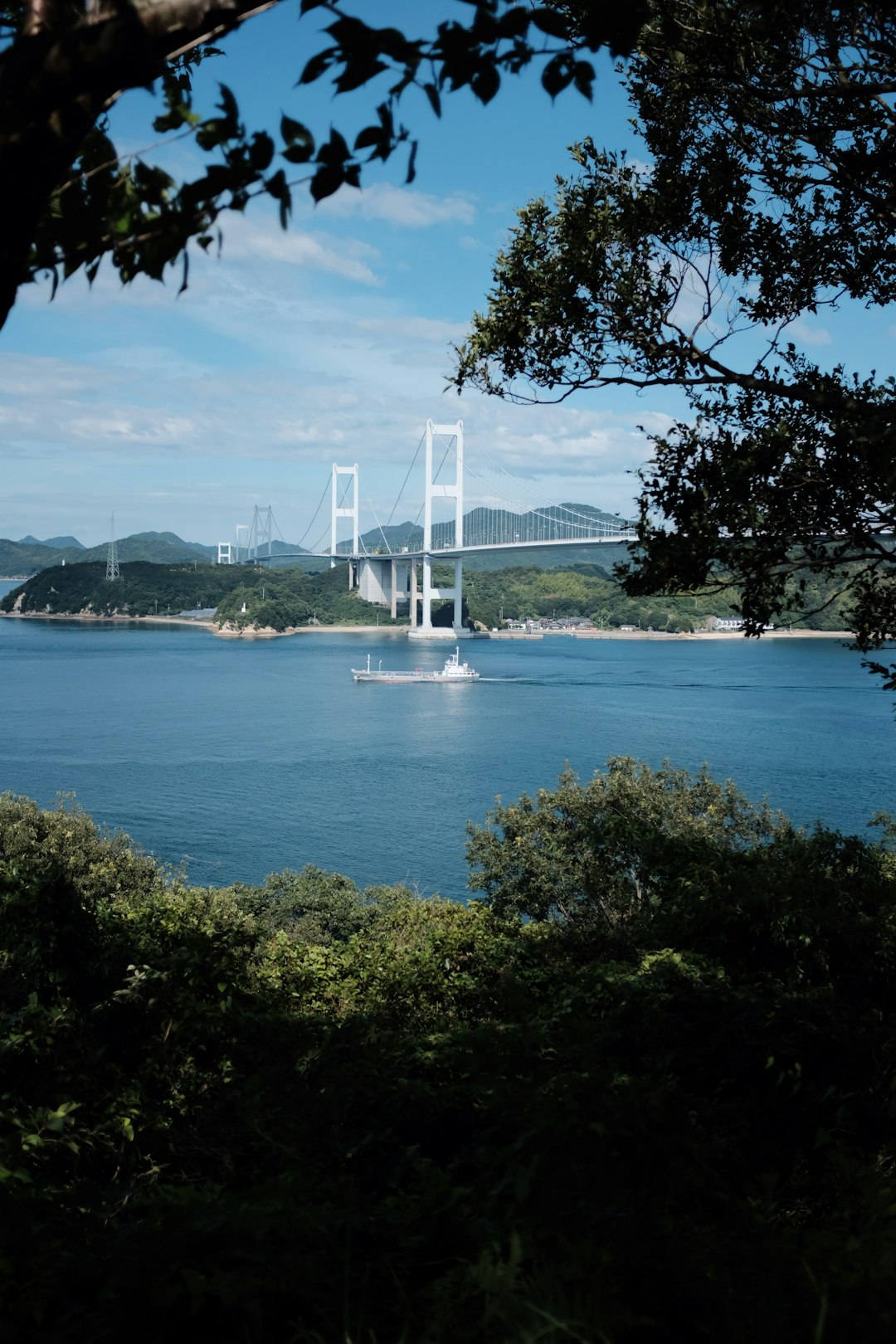 ship in body of water under bridge