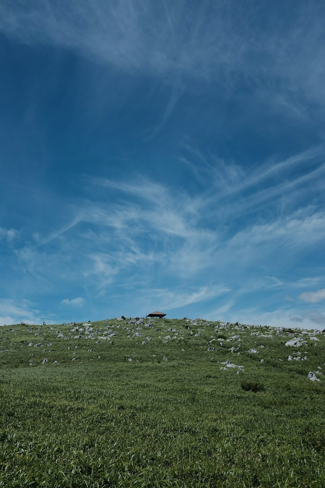 green grass hill under blue sky during daytime