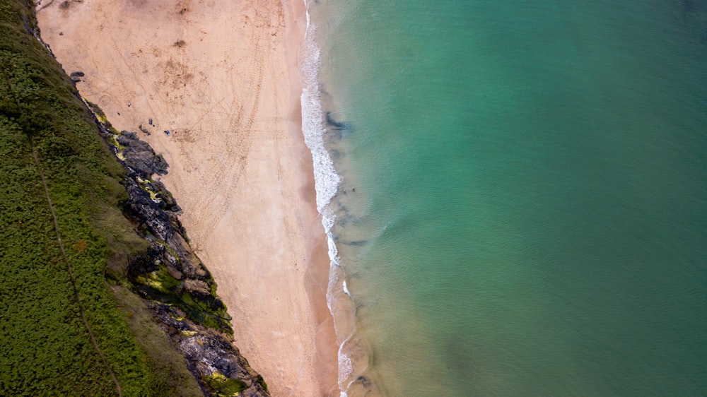 shore near body of water