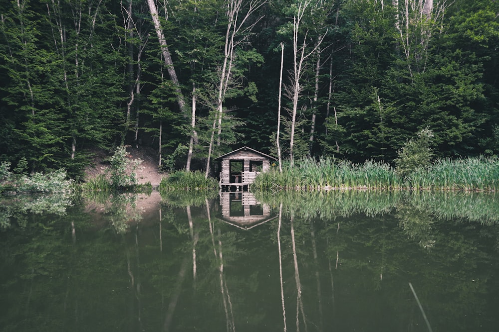 body of water near green trees at daytime