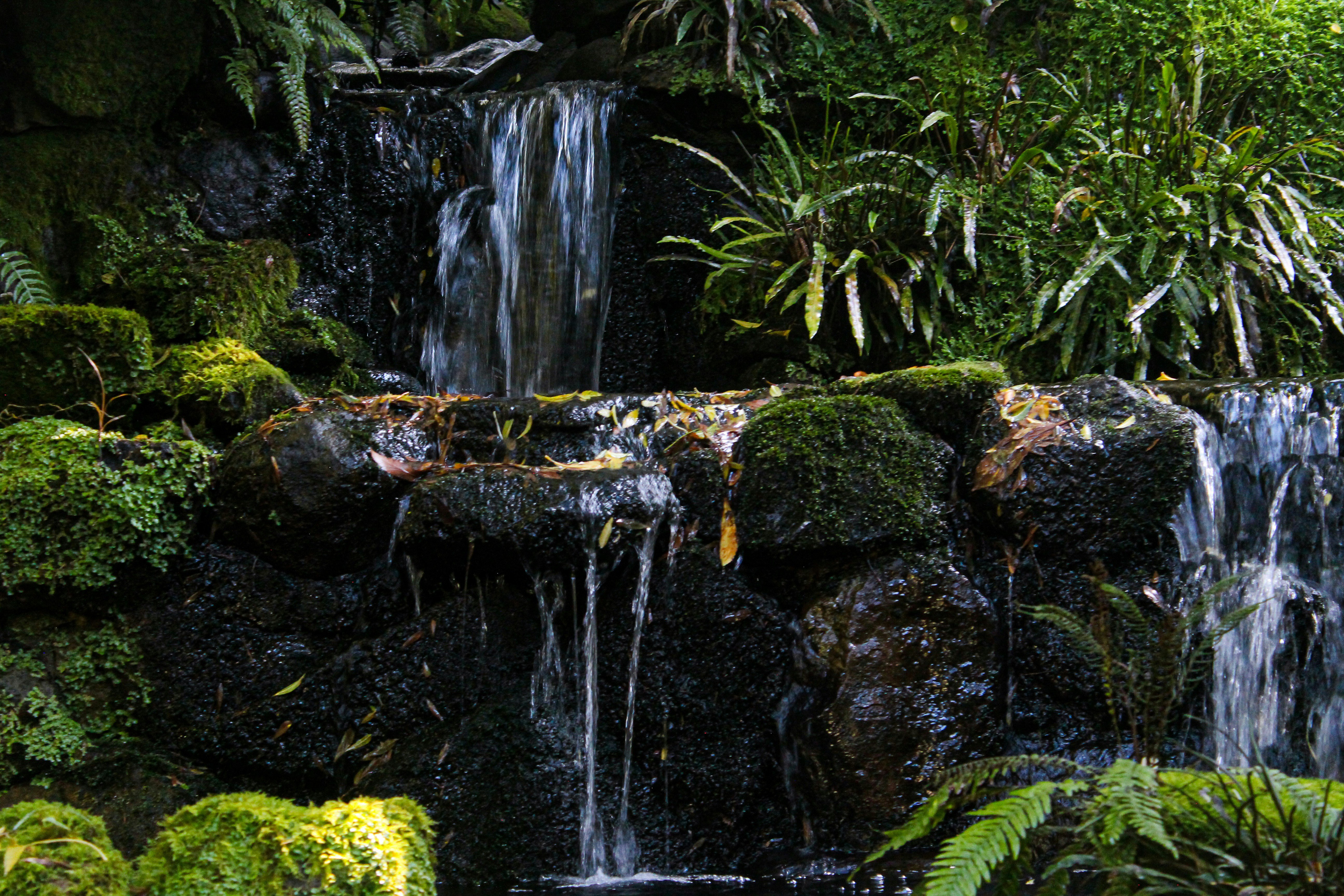 Photo by cassandra_correa