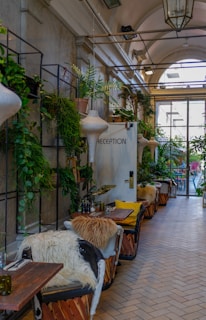 A cozy hallway adorned with lush green plants on shelves, leading to a door labeled 'Reception'. The seating area features comfortable chairs with fur throws and small tables, bathed in natural light from a large window at the end.