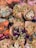 assorted-color flower bouquet lot