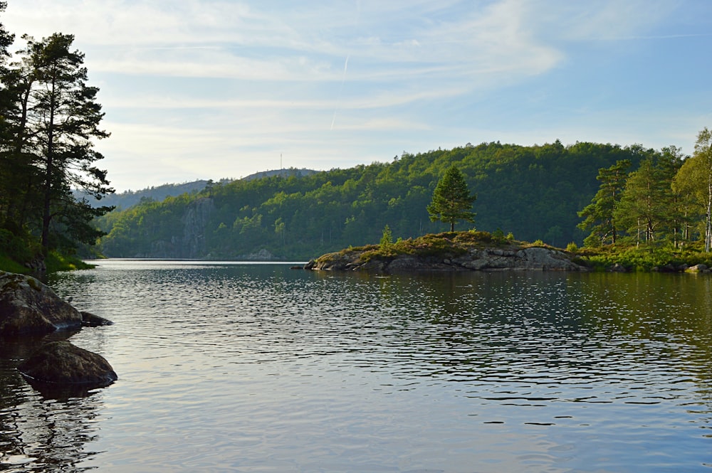 body of water during daytime