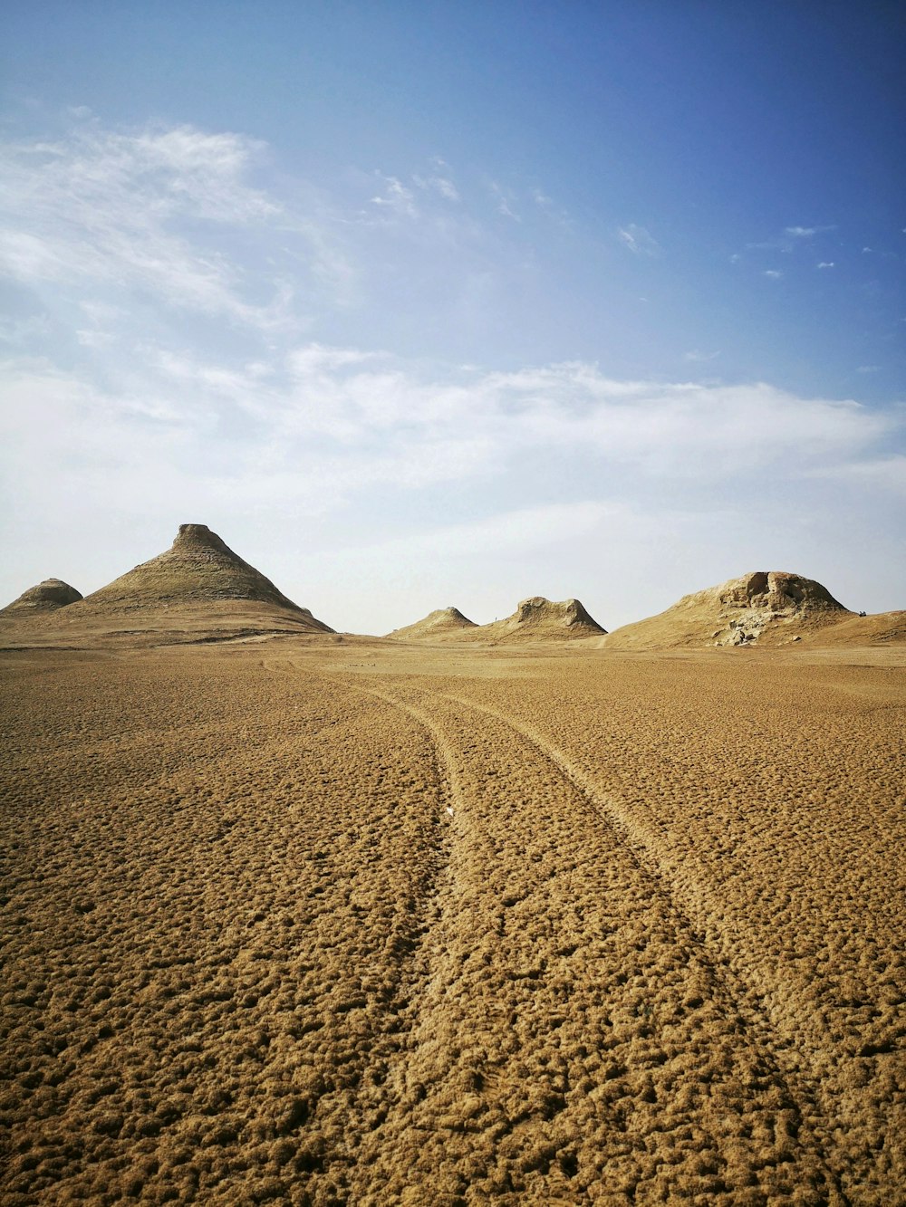 landscape during daytime