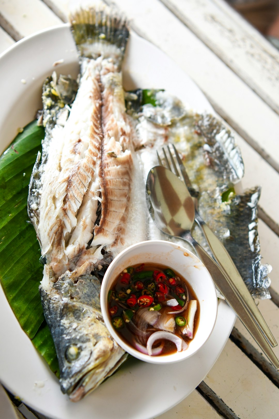 fish food in white plate close-up photography