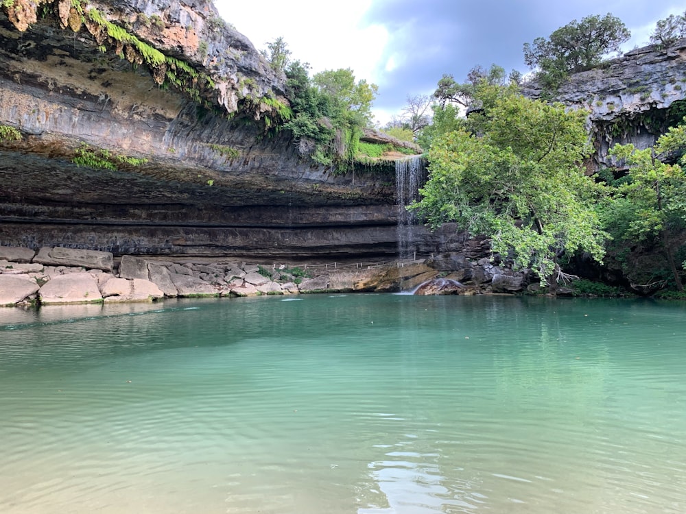 green trees near waterfall