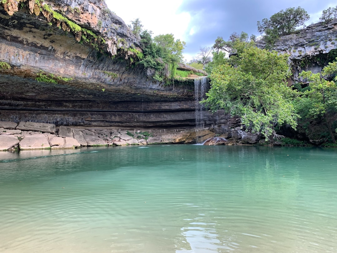 green trees near waterfall, Hamilton Pool Preserve - Travis County