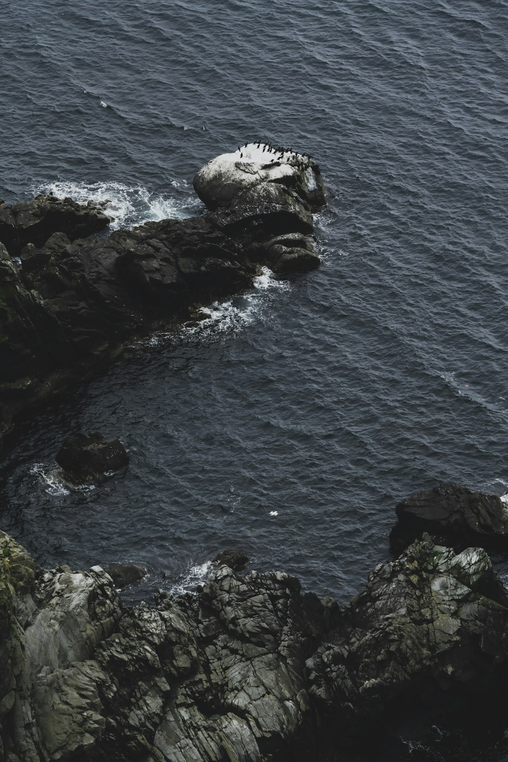 aerial photography body of water