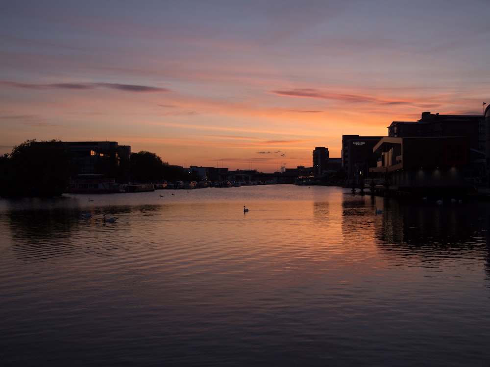 silhouette photography of cityscape during golden hour