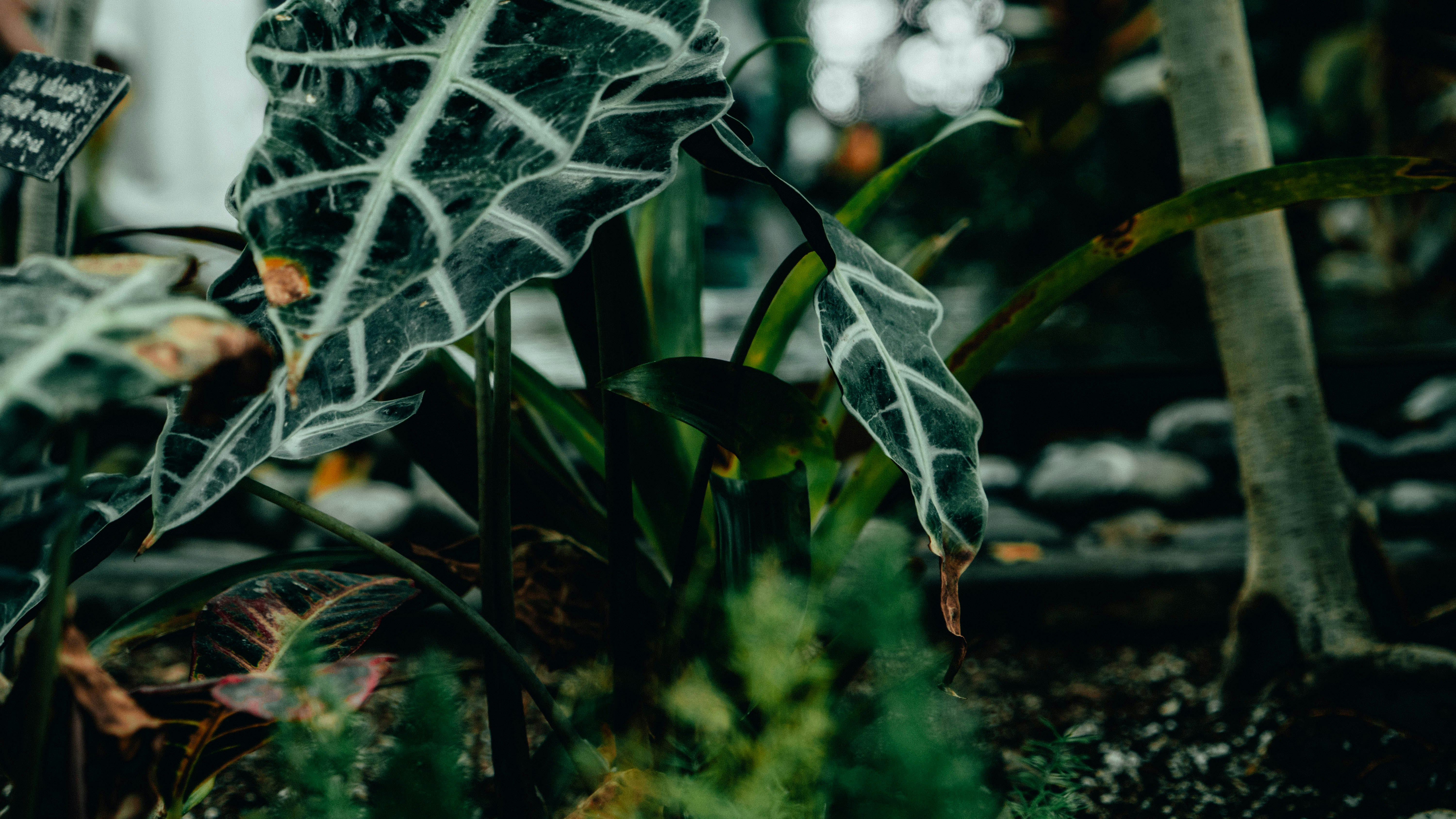 Photo by acookiejarproduction