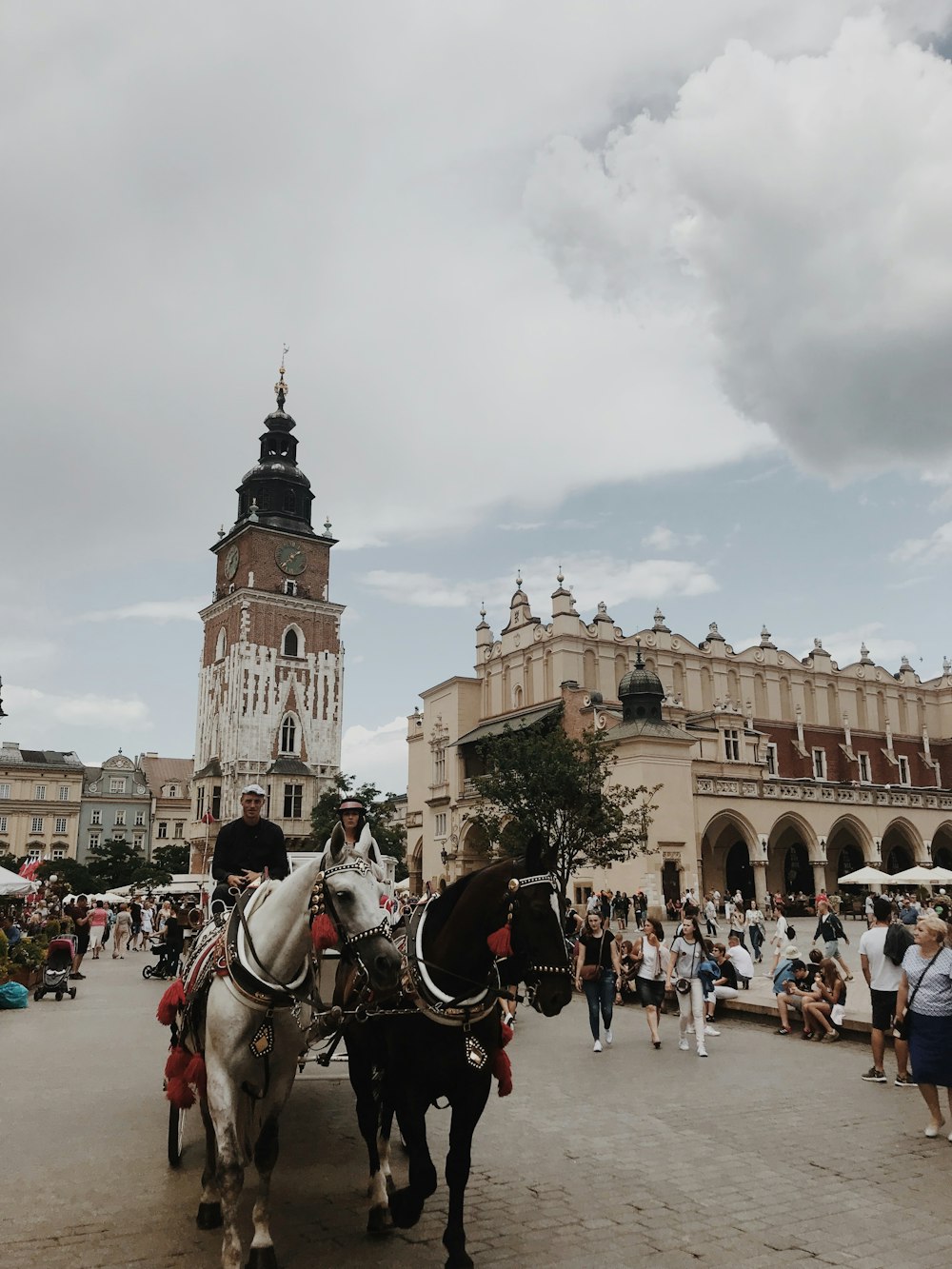 carriage in city