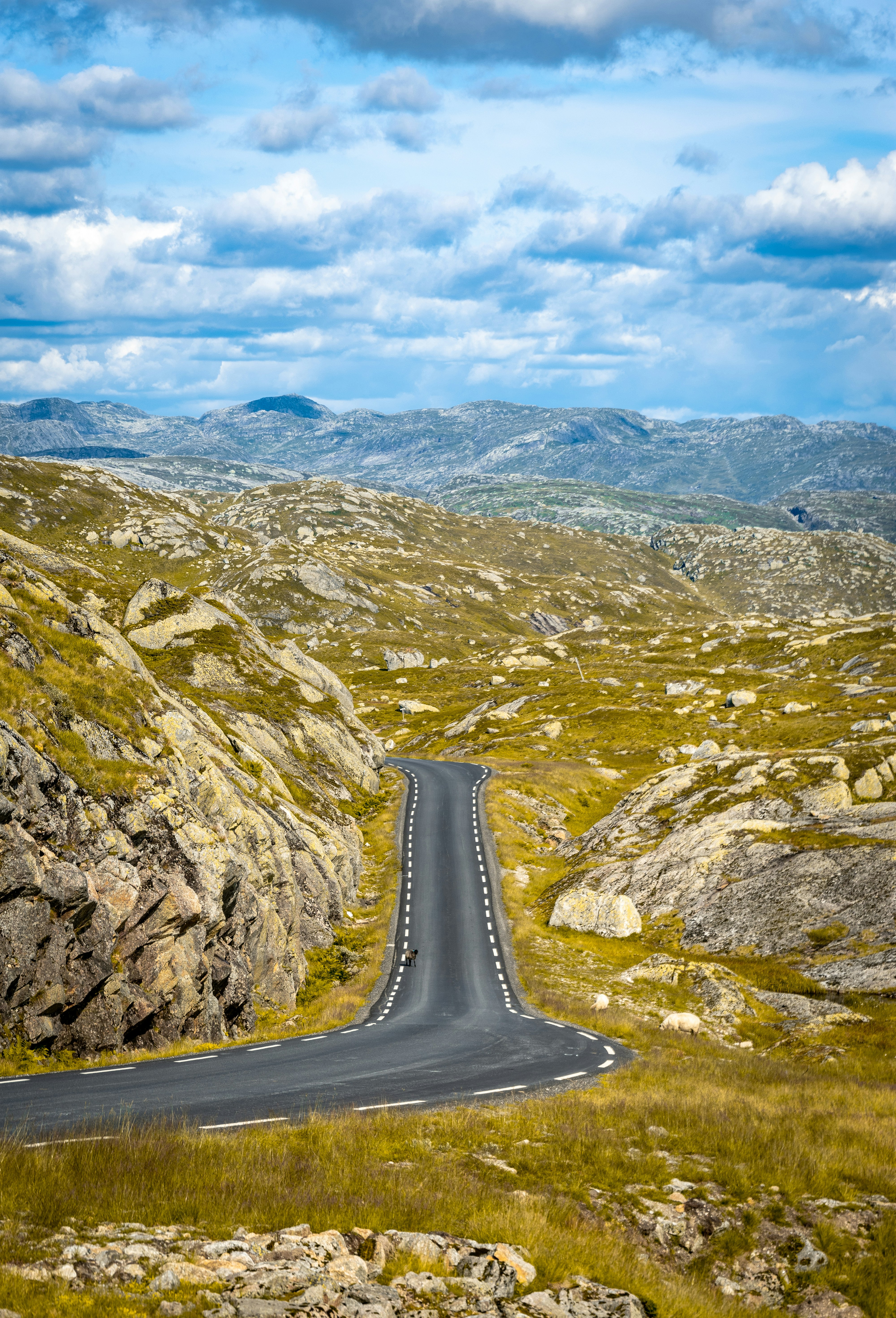 gray road under blue sky
