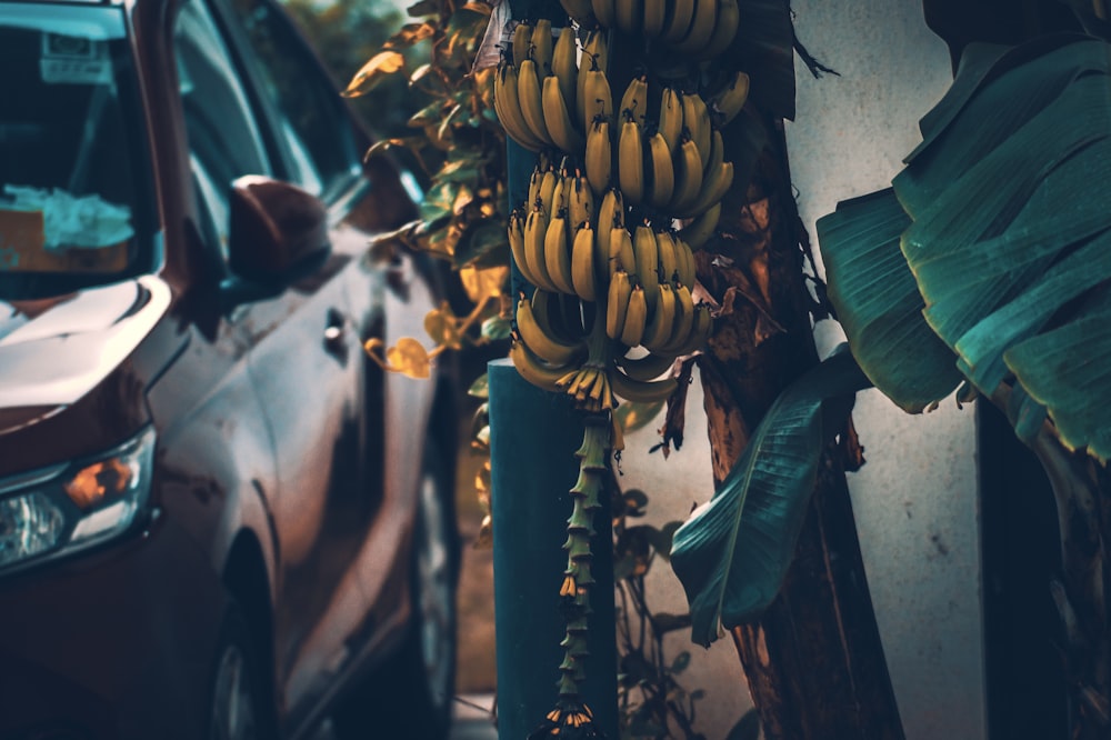 a bunch of bananas on a pole next to a car