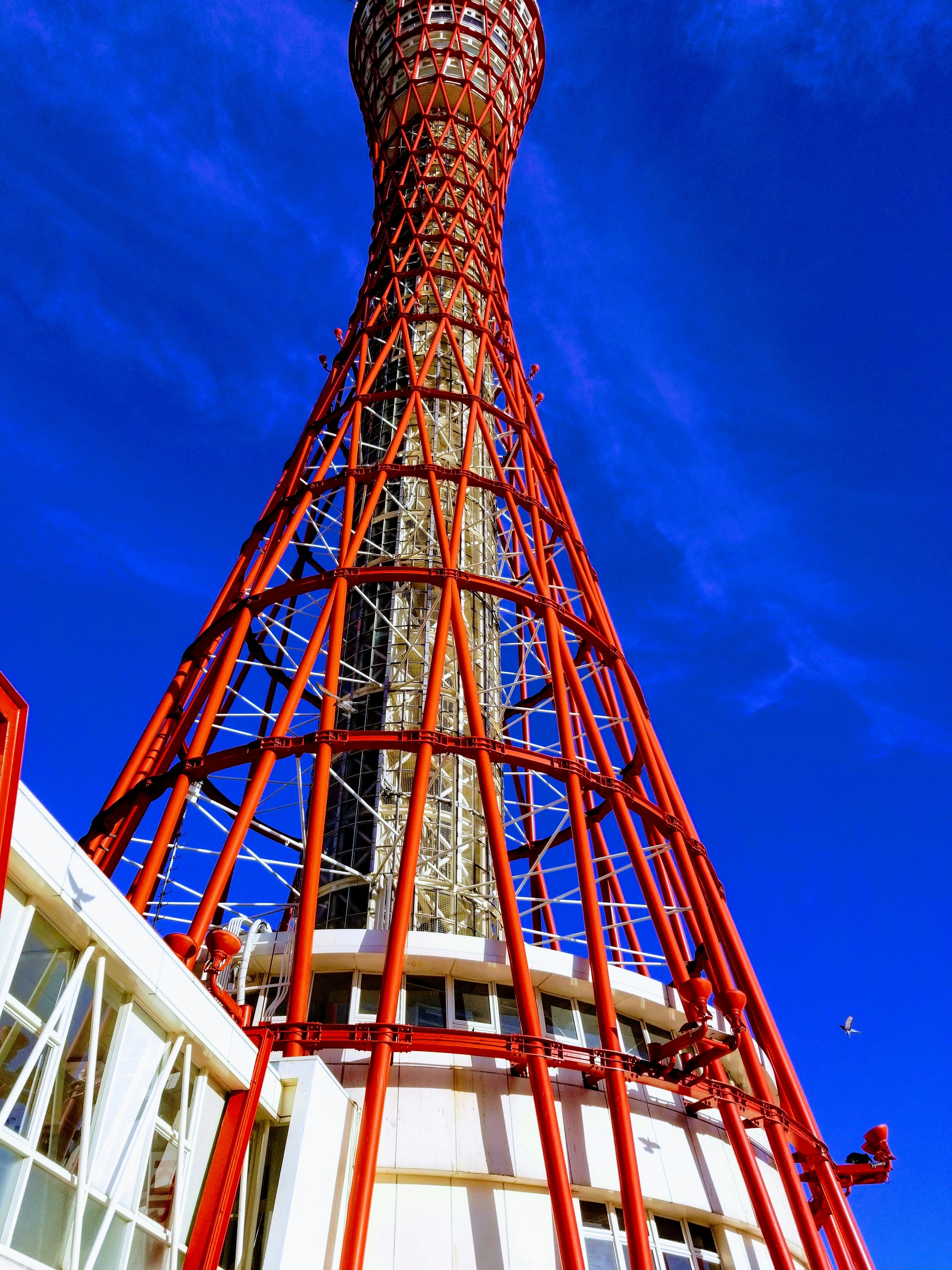 田中 志（のぞみ）  Tanaka Nozomi