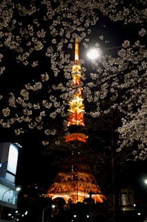 Eiffel Tower, Paris during night