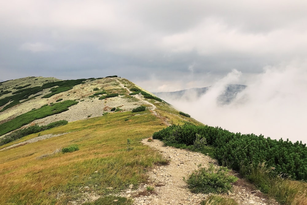 mountain during daytime