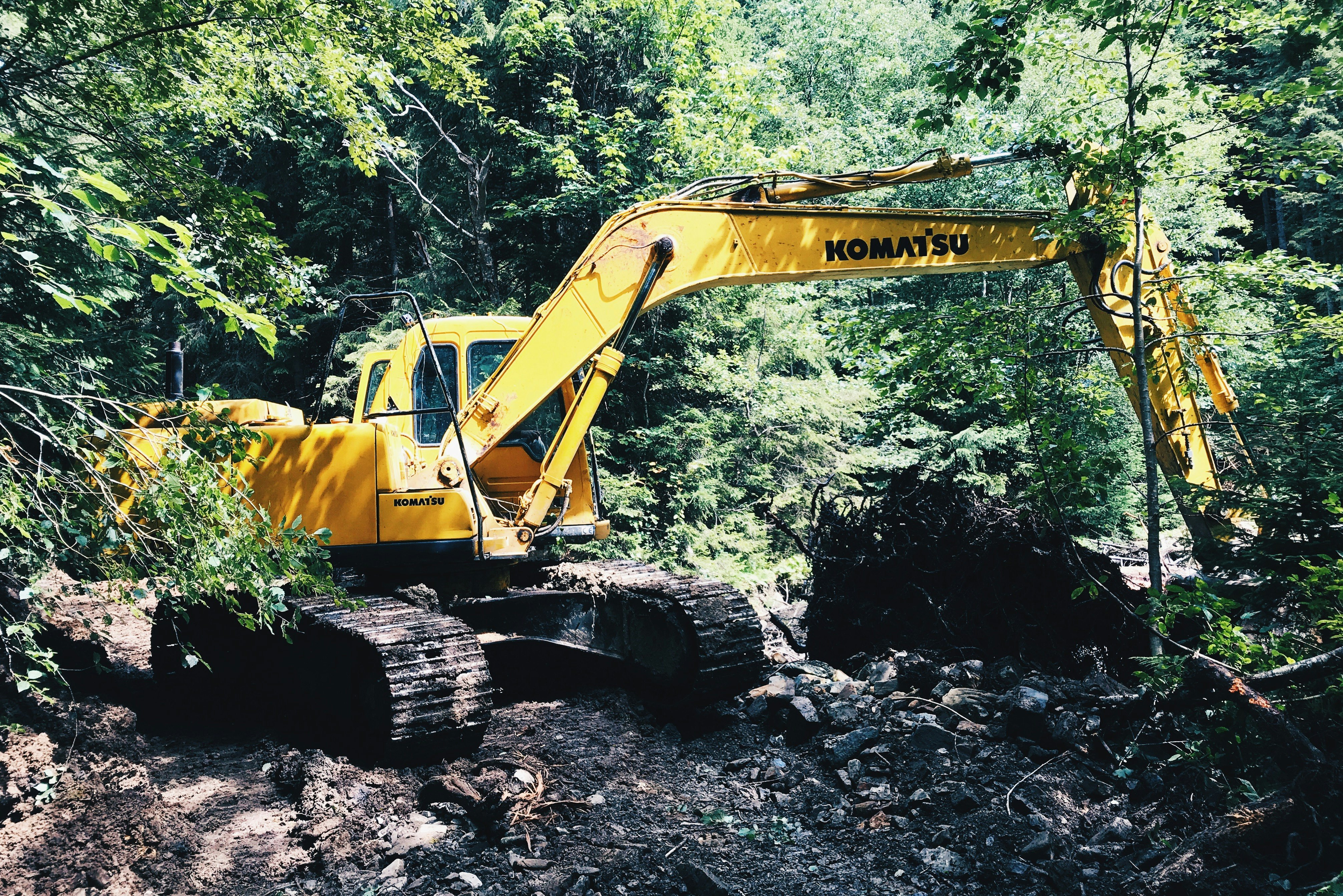 yellow Komatsu backhoe surrounded with tall and green trees