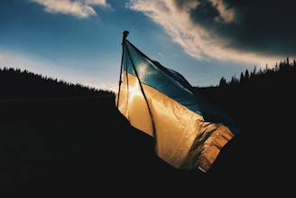 blue and yellow striped country flag